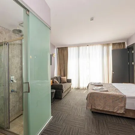 Hotel Taksim V